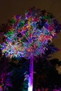 Rinbow Illuminated tree and building blocks at the NightGarden in Coral gables Florida