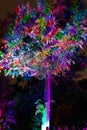 Rinbow Illuminated tree and building blocks at the NightGarden in Coral gables Florida