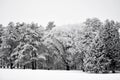 Rime Ice Crystals on Trees at Yerkes Observatory Royalty Free Stock Photo