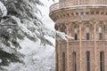 Rime Ice Crystals on Trees, Yerkes Observatory Royalty Free Stock Photo