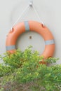 Ring buoy hanging on the wall Royalty Free Stock Photo