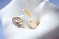 Ring on Calla flower Royalty Free Stock Photo