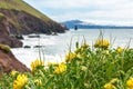 Ring of Dingle Peninsula Kerry Ireland An Searrach Rock Stone  view landscape seascape Royalty Free Stock Photo