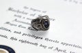 Ring on Diploma Royalty Free Stock Photo