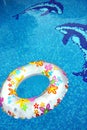 Ring and dolphin in swimmingpool