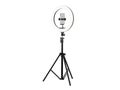 Ring light with tripod and smartphone holder for vlogging isolated on white background Royalty Free Stock Photo