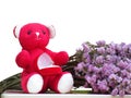 Ring in red velvet box on the lap of red bear and bouquet of flowers beside it isolated on white background Royalty Free Stock Photo