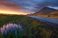 Ring road around Iceland Royalty Free Stock Photo