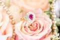 Ring on rose Royalty Free Stock Photo