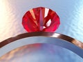 Ring Ruby Royalty Free Stock Photo