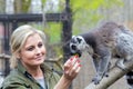 Ring-tailed lemur (Lemur catta)