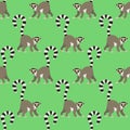 Ring tailed lemur ,Lemur catta. Vector illustration, seamless pattern on green backgroung Royalty Free Stock Photo