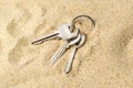 Ring with three home keys on a sea sand. Forget or fall house keys while relaxing on the beach. Accidentally drop keys. Lose bunch