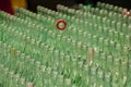 Ring Toss with Green Bottles Royalty Free Stock Photo