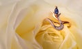 Ring in a white rose Royalty Free Stock Photo