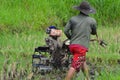 Close Up View A Young Farmer Is Spinning Plowing The Rice Field Using Tractor Machine