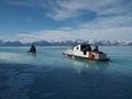 Ringed seal hunt in the Canadian Arctic, subsistence hunting with Inuit hunters Royalty Free Stock Photo