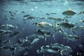 Ringel bream under water, under water photography of ocean fish in Croatia, fish swarm close up photo, amazing blue ocean with