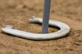 Ringer in horseshoe game Royalty Free Stock Photo