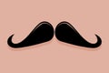 Ringmaster Moustache Icon Vector
