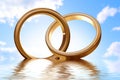Rings Royalty Free Stock Photo