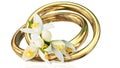 Rings golden two 2 isolated ornage tree flowers interalaced - 3d rendering