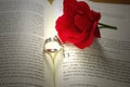 Rings and Rose on Bible