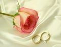 Rings satin and a rose Royalty Free Stock Photo