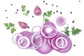 Rings of sliced red onions with herbs and spices on a white isolated background. vegetables. Royalty Free Stock Photo