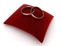 Rings on a velvet cushion