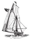 Ringtail Sailboat, vintage illustration