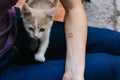 Ringworm on Arm with Hand. Cat disease. Skin problem Royalty Free Stock Photo