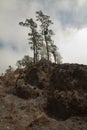 Rinjani volcano mountain burned land, Lombok Indonesia