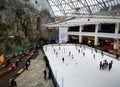 Rink at mall Afi Palace Cotroceni Royalty Free Stock Photo