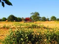 Rinks for agriculture.