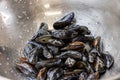 Rinsed Mussels Ready for Cooking in Metal Bowl