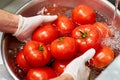 Rinsing tomatoes in water in metal bowl. Royalty Free Stock Photo