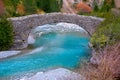 Rio Ara river and bridge San Nicolas de Bujaruelo in Ordesa Royalty Free Stock Photo