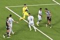 Botafogo vs Goias by Brazilian Championship