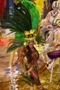 Rio Carnival Royalty Free Stock Photo