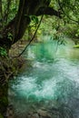 Bubbling water - Rio Celeste river - Arenal day trip Views around Costa Rica