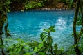 Rio Celeste a blue volcanic river - Arenal day trip Views around Costa Rica