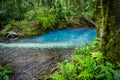 The source of teh blue- - Rio Celeste river - Arenal day trip Views around Costa Rica Royalty Free Stock Photo