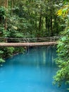 Hanging Bridge over Rio Celeste River