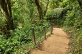 Rio Celeste trail in Parque Nacional Volcan Tenorio in Costa Rica