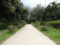 Rio de Janeiro Botanical Garden Way