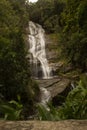 Beautiful waterfall called `Cascatinha Taunay` on green nature in the Atlantic Rainforest, Tijuca Forest National Park Royalty Free Stock Photo