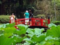 RIO DE JANEIRO, BRAZIL - JANUARY 4, 2009: People on small red bridge in Japanese garden Royalty Free Stock Photo