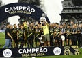 Botafogo beats Boavista at the Nilton Santos stadium and wins the Rio cup Royalty Free Stock Photo