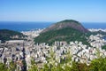Rio de Janeiro cityscape from Mirante Dona Marta panoramic terrace, Brazil